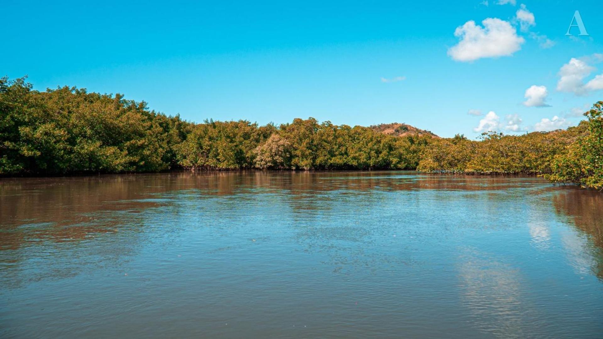 Pousada Recanto Sol Nascente, Luxo E Proximidade Com A Natureza Rio Formoso Exterior foto