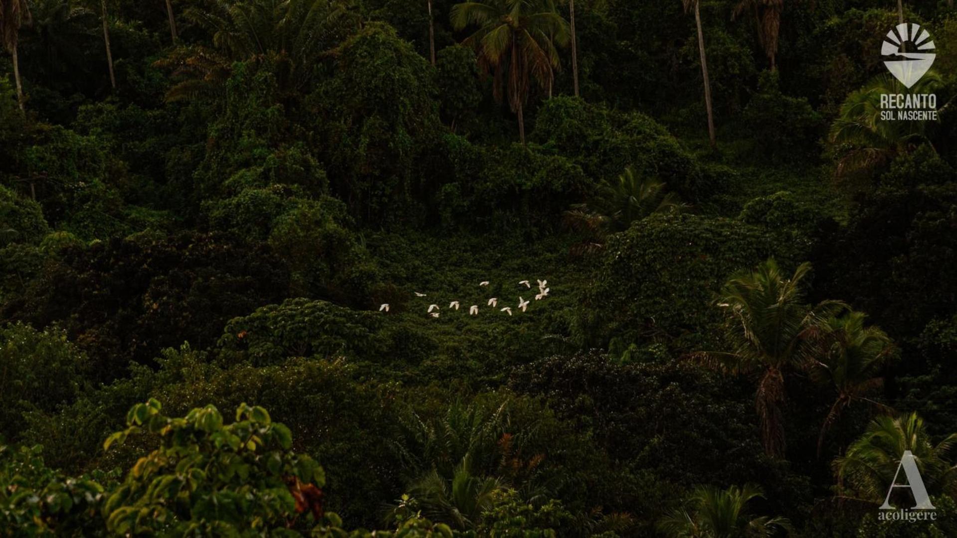 Pousada Recanto Sol Nascente, Luxo E Proximidade Com A Natureza Rio Formoso Exterior foto