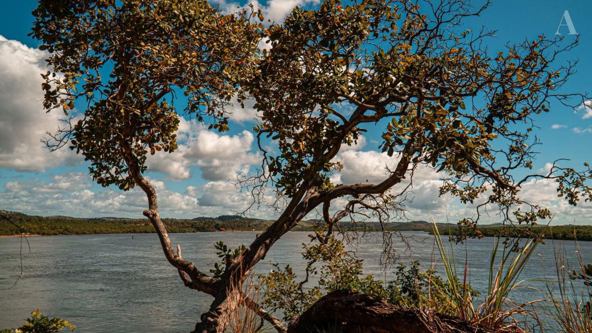 Pousada Recanto Sol Nascente, Luxo E Proximidade Com A Natureza Rio Formoso Exterior foto
