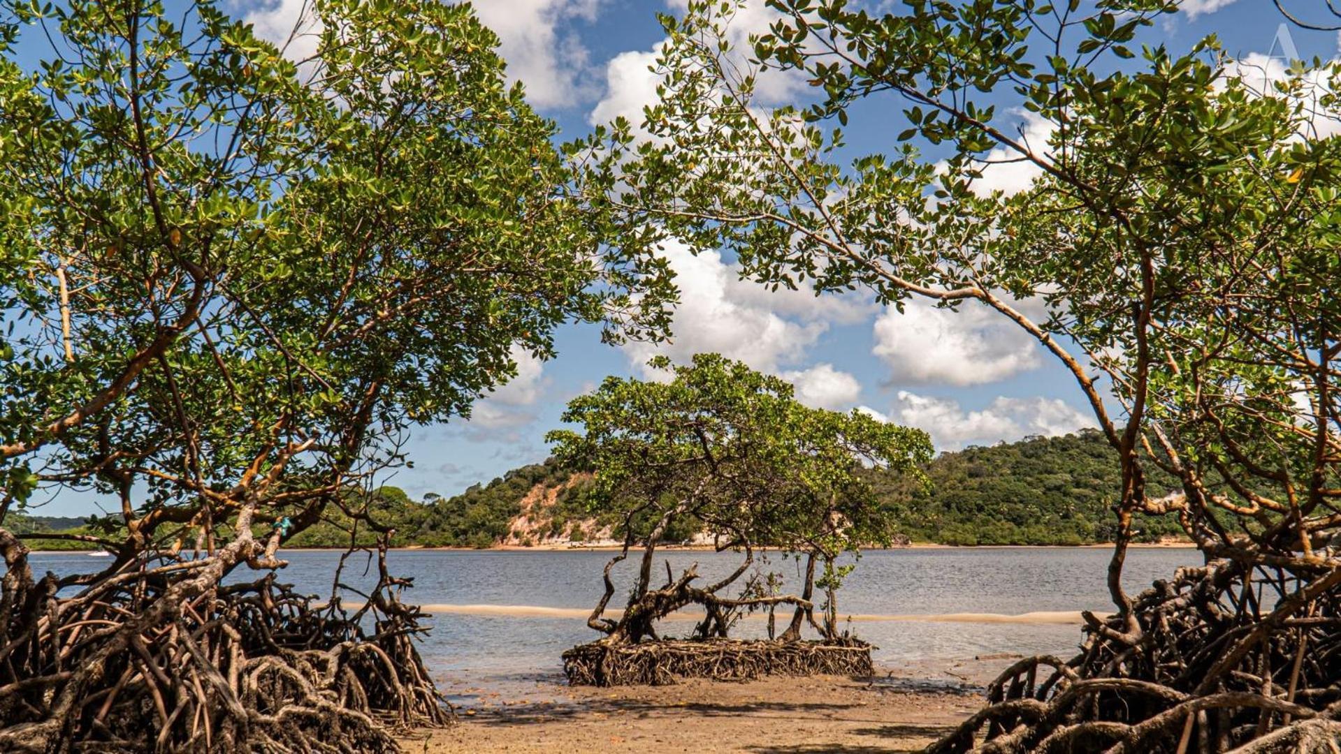 Pousada Recanto Sol Nascente, Luxo E Proximidade Com A Natureza Rio Formoso Exterior foto