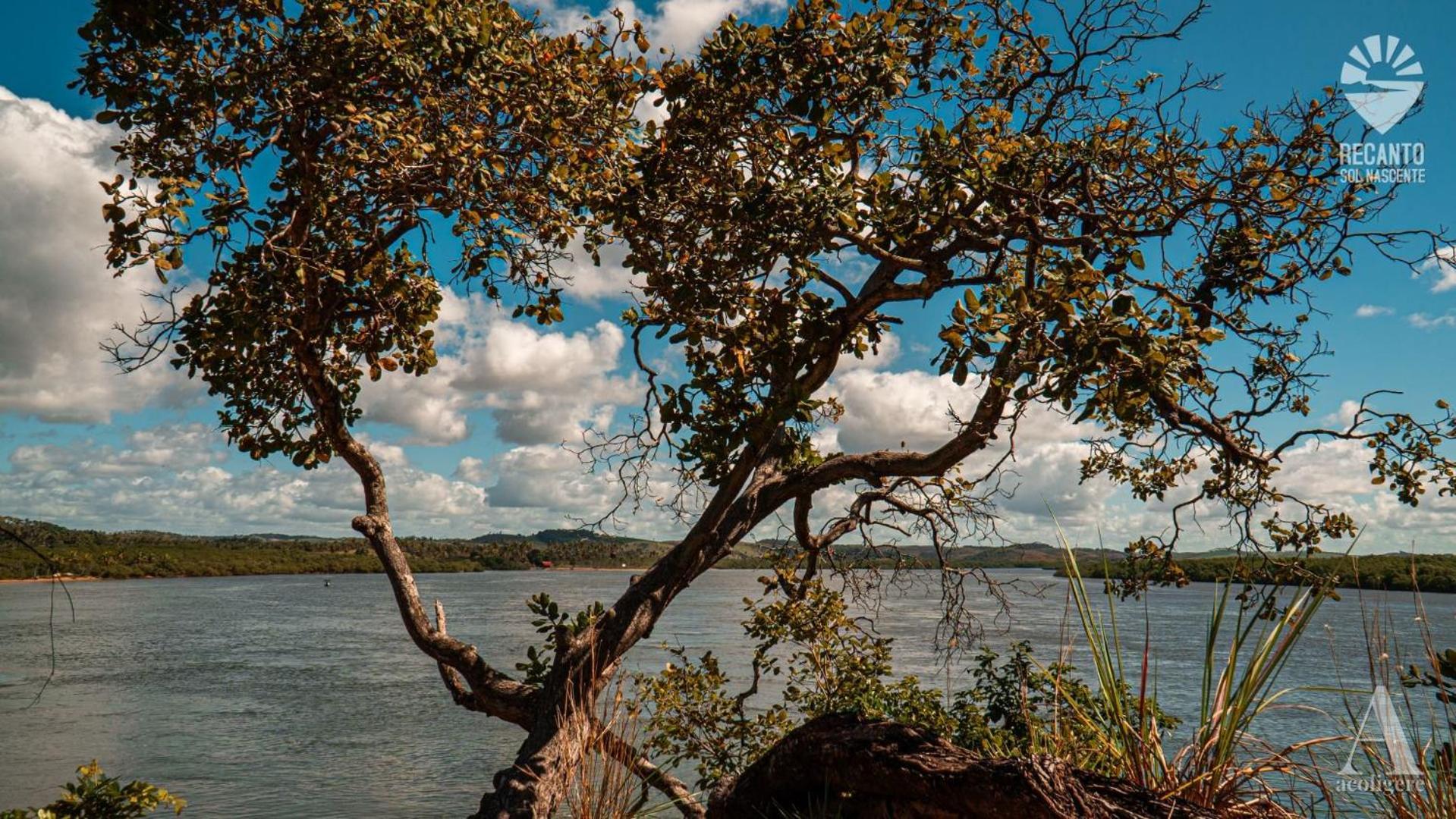 Pousada Recanto Sol Nascente, Luxo E Proximidade Com A Natureza Rio Formoso Exterior foto